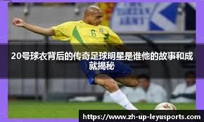 注以单弹为
