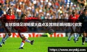 型化场