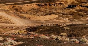 应对“大深筹码”的压制：在锦标赛中如何通过反抢夺回主动权。（面对深筹压制：锦标赛中如何用反抢重夺主动权）