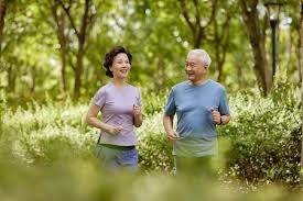 棒球文化的全球共通性