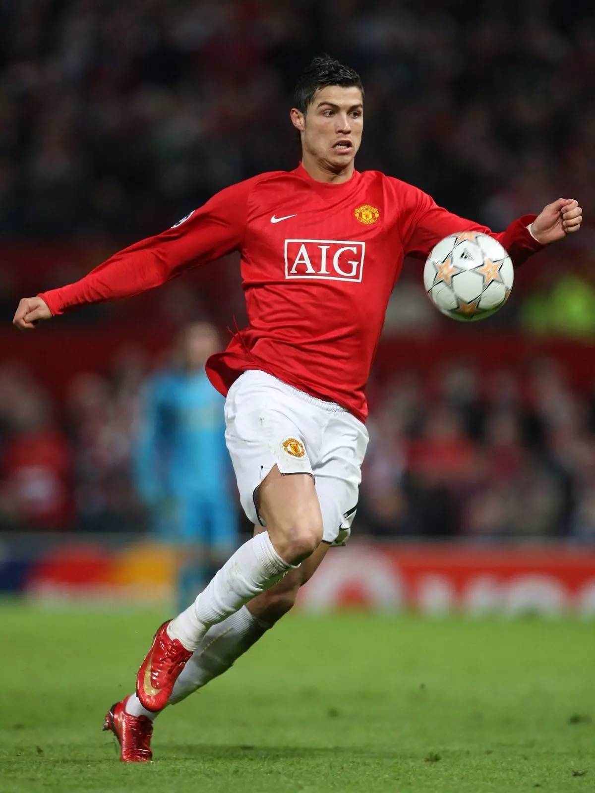 从野外生存 从野外生存