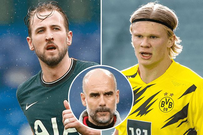 的阵容建构 的阵容建构